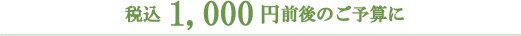 税込1,050円以内