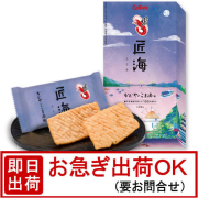 �����ς��т��񏠊C ���ܖ�13������